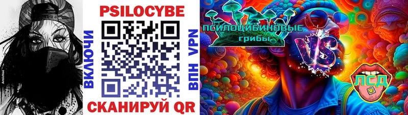 Купить Ртищево Псилоцибиновые грибы Magic Shrooms
